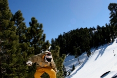 Brian Front Board