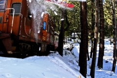 Bomb Drop The Train